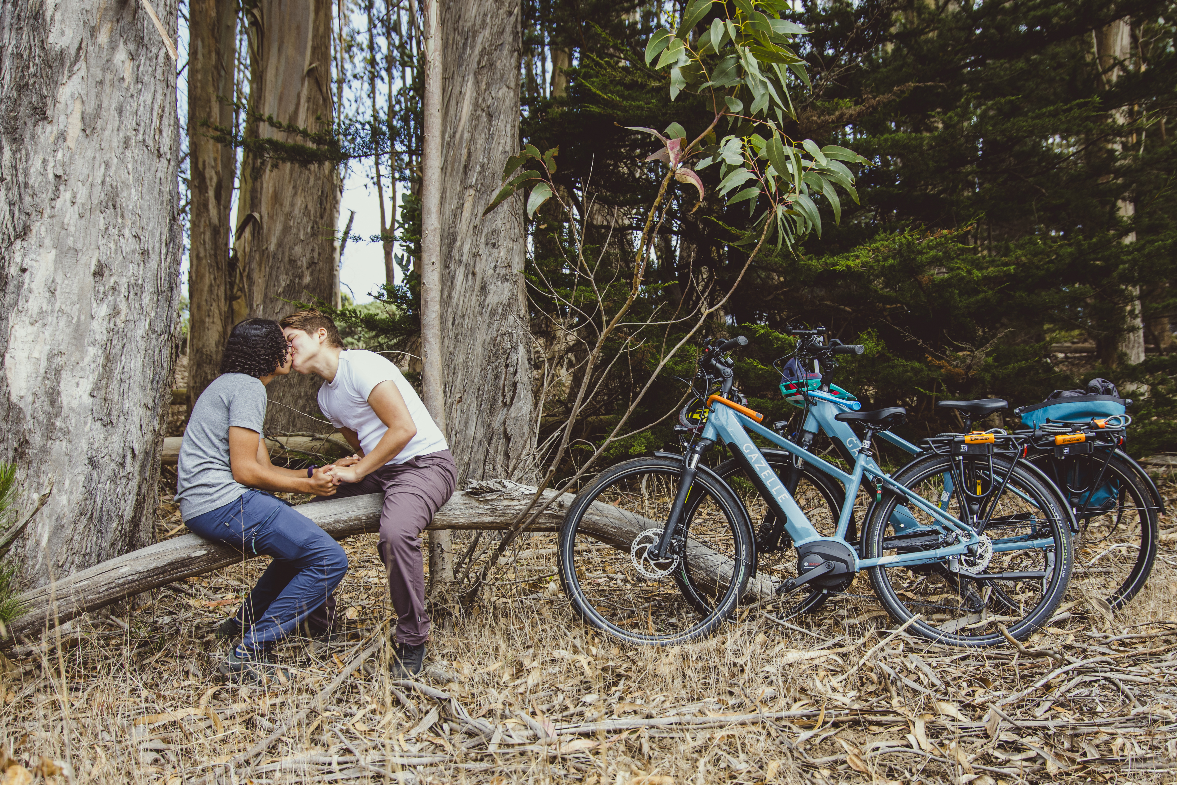 Evan & Shuli Home Page Banner